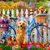 Painting by numbers Bicycle and Dogs