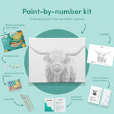 Malen nach Zahlen Schwarzer und weißer schottischer Highlander