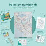 Painting by numbers Blue Owl