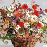 Paint by numbers Kamomilla korissa