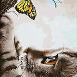 Malowanie po numerach Kot i motyl