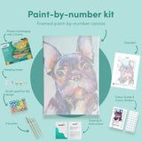 Painting by numbers Colored Bulldog