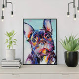Painting by numbers Colored Bulldog