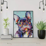 Painting by numbers Colourful Bulldog
