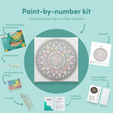 Painting by numbers Colourful Mandala