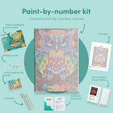 Painting by numbers Colourful Owl