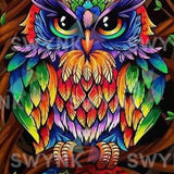 Painting by numbers Colourful Owl