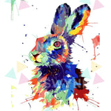 Painting by numbers Colourful Rabbit