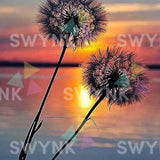 Painting by numbers Dandelion with Sunset