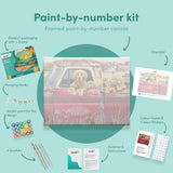 Schilderen op nummers Honden in een rode auto