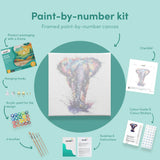 Malowanie po numerach Słoń