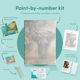 Paint by numbers Elefant med solnedgang