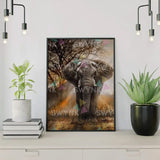 Paint by numbers Elefant med solnedgang