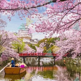 Paint by numbers Blommor och Vatten