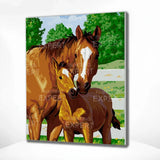 Paint by numbers Häst och föl