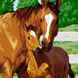 Paint by numbers Häst och föl