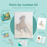 Painting by numbers Horse at a Gallop
