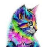 Schilderen op nummer kitten