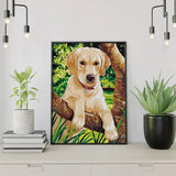 Paint by numbers Labradorhvalp