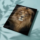 Paint by numbers Løve