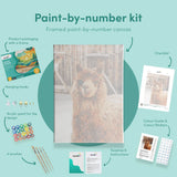 Paint by numbers Laama