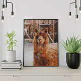 Paint by numbers Laama