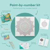 Painting by numbers Mandala with Colours