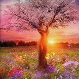 Painting by numbers Morning Sun