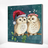 Malowanie po numerach Sowy Boże Narodzenie