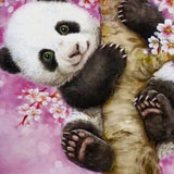 Schilderen met nummers Panda