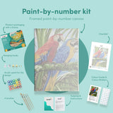 Painting by numbers Parrot
