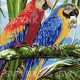 Painting by numbers Parrot