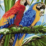 Malen nach Zahlen Papagei