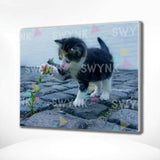 Painting by numbers Playing Cat