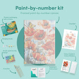 Painting by numbers Poppies with Butterfly
