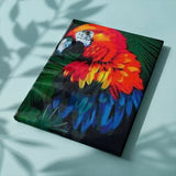 Malen nach Zahlen Roter Papagei mit Blautönen