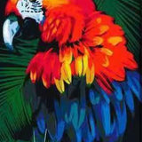 Malen nach Zahlen Roter Papagei mit Blautönen