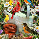 Painting by numbers Red, Blue and Yellow Birds