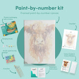 Paint by numbers skotsk højlandskvæg