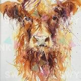 Paint by numbers skotsk højlandskvæg