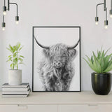 Paint by numbers Skotsk Highlander i sort og hvid