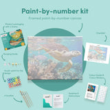 Schilderen op nummer Schildpaddenzee