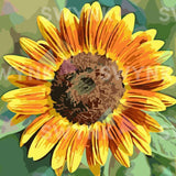 Painting by numbers Sunflower Yellow Orange