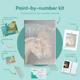 Paint by numbers Hest og føl