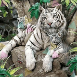 Painting by numbers Three Tigers in the Forest