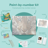 Painting by numbers Tiger with Blue Eyes