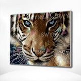 Painting by numbers Tiger with Blue Eyes