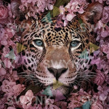 Pintar por números Tigre Rodeado de Hermosas Flores