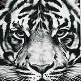 Schilderen op nummer Tijger