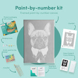 Pintar por numeros Bulldog Fuerte